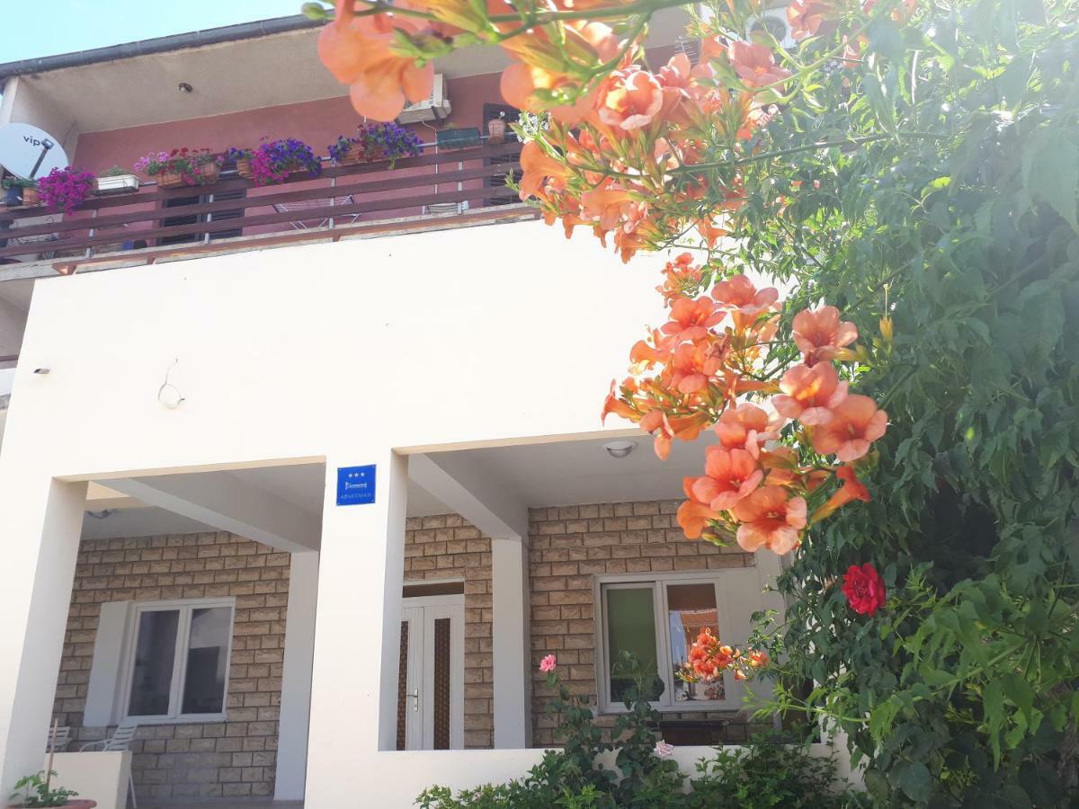 M&I Apartment Zadar Eksteriør billede